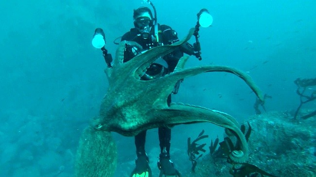 Deadly embrace Deadly embrace